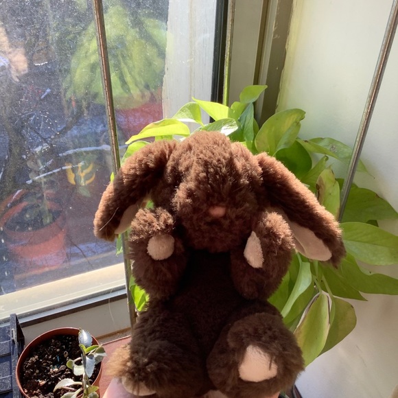 3/20$⭐️NEW Really Soft Bunny Plushie - Picture 4 of 10